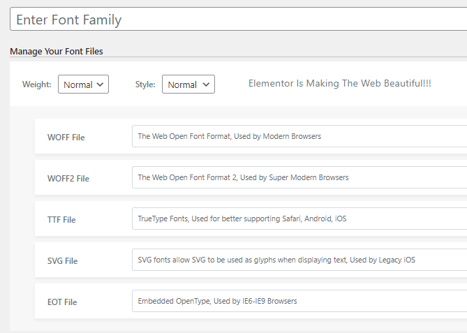 Add Custom Fonts to Elementor image 2