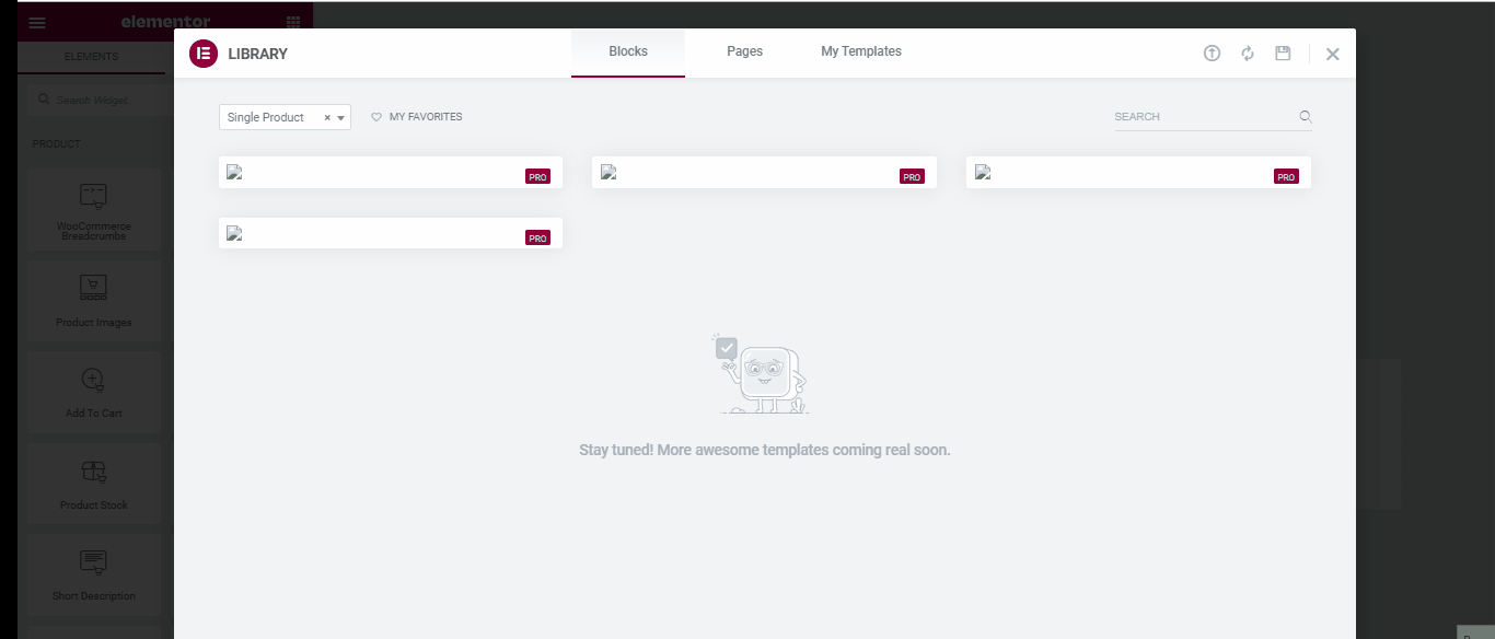 create a custom Woo commerce Single Product Page image 2