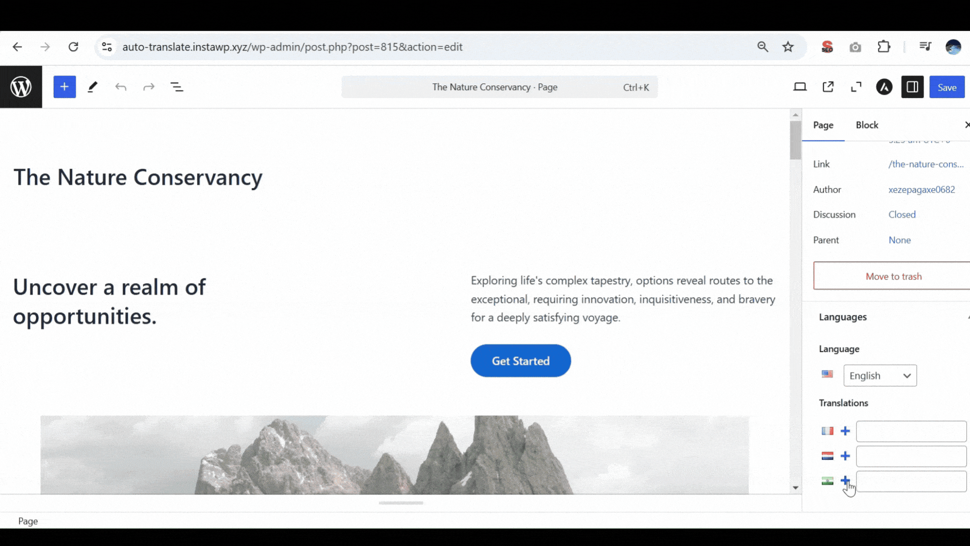 Translating Website Via Chrome AI