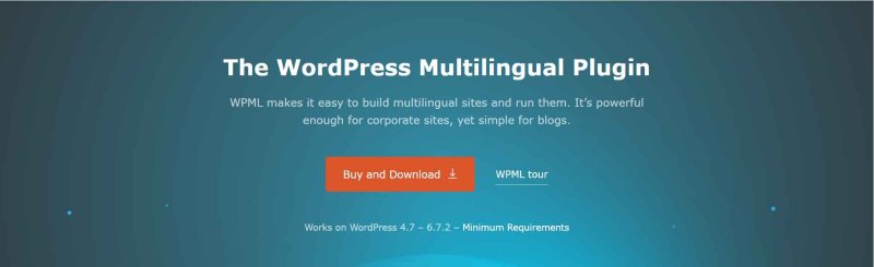 WPML plugin