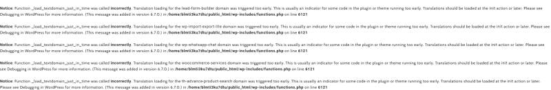 Load text domain errors in wordpress