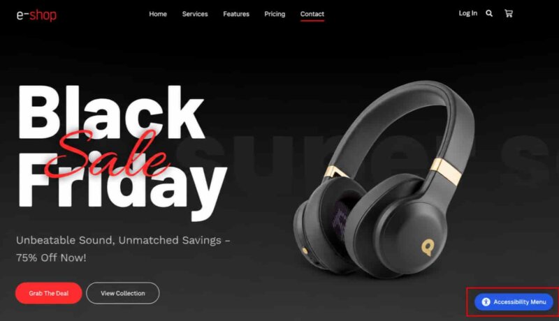 bllack-fiday-accessibility-plugin